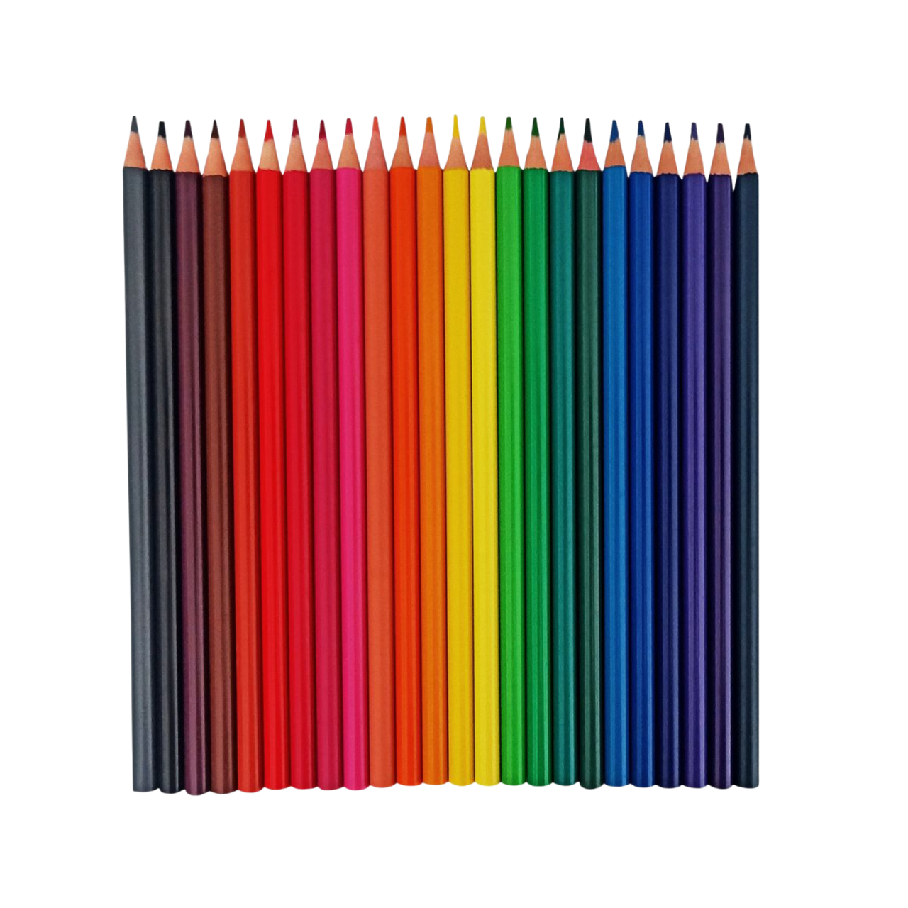 Lápis de Cor 24 Cores Onda Sextavado