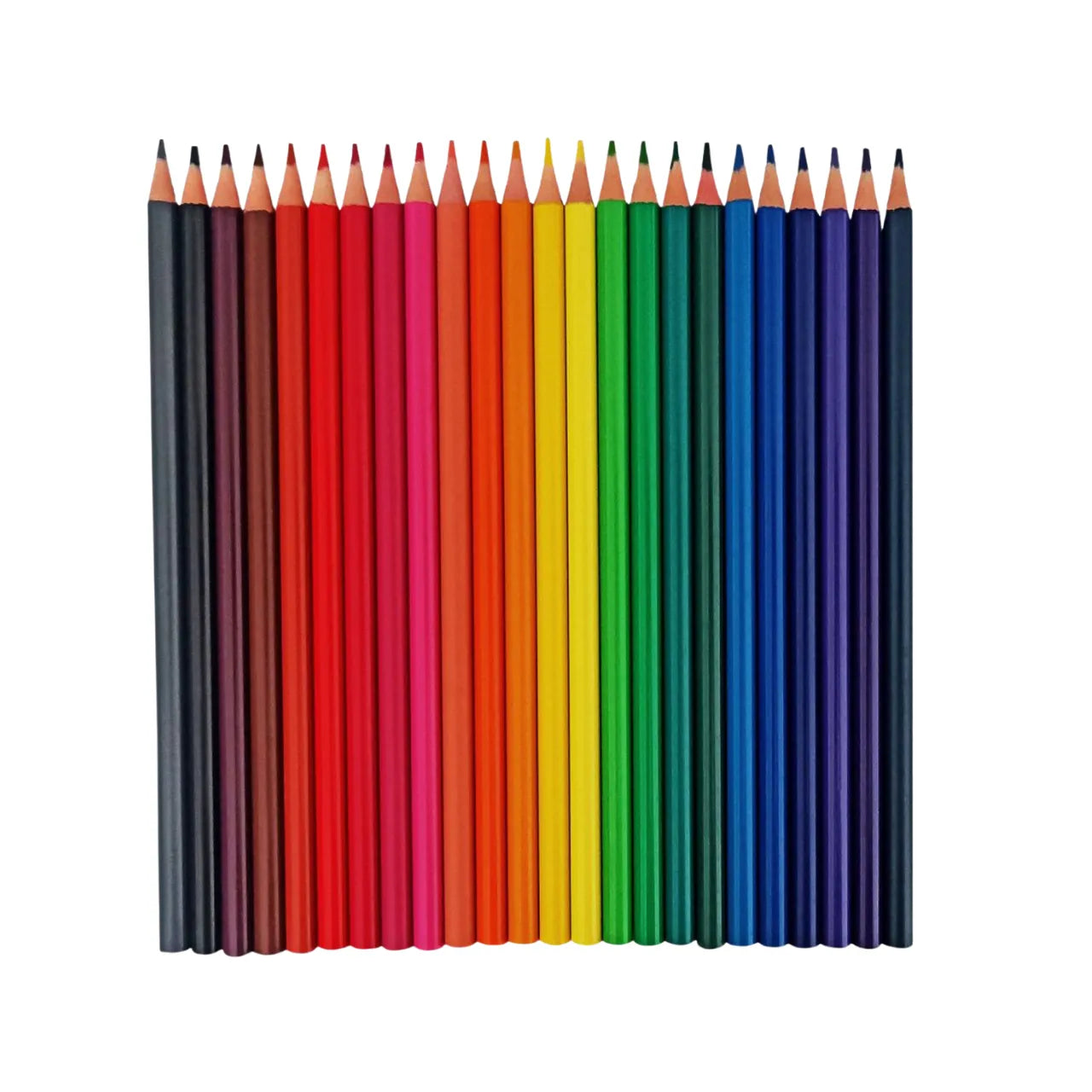 Lápis de Cor 24 Cores Onda Sextavado