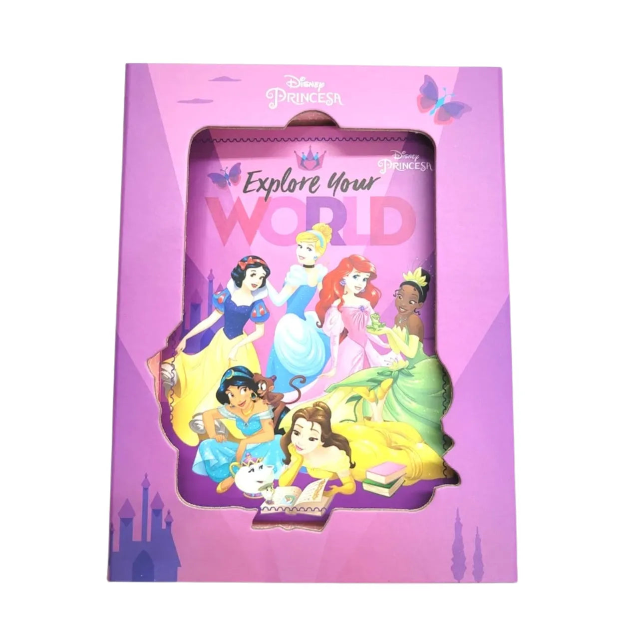 Diário com Cadeado e Caixa Magnética VMP Princesas