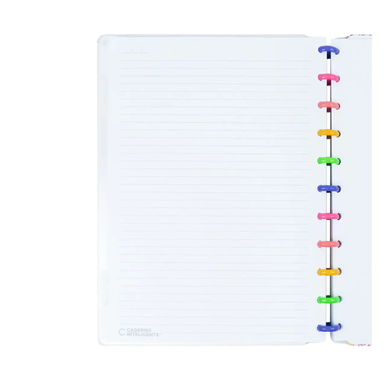 Caderno Inteligente Grande Mentos