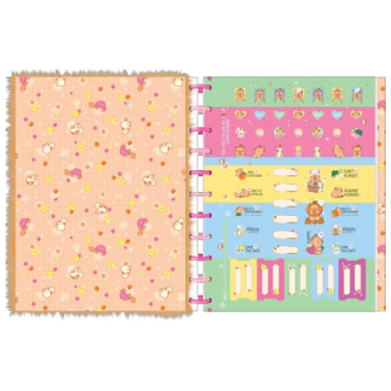 Caderno Tilidisco Universitário 10 Matérias Tilibra Capivara