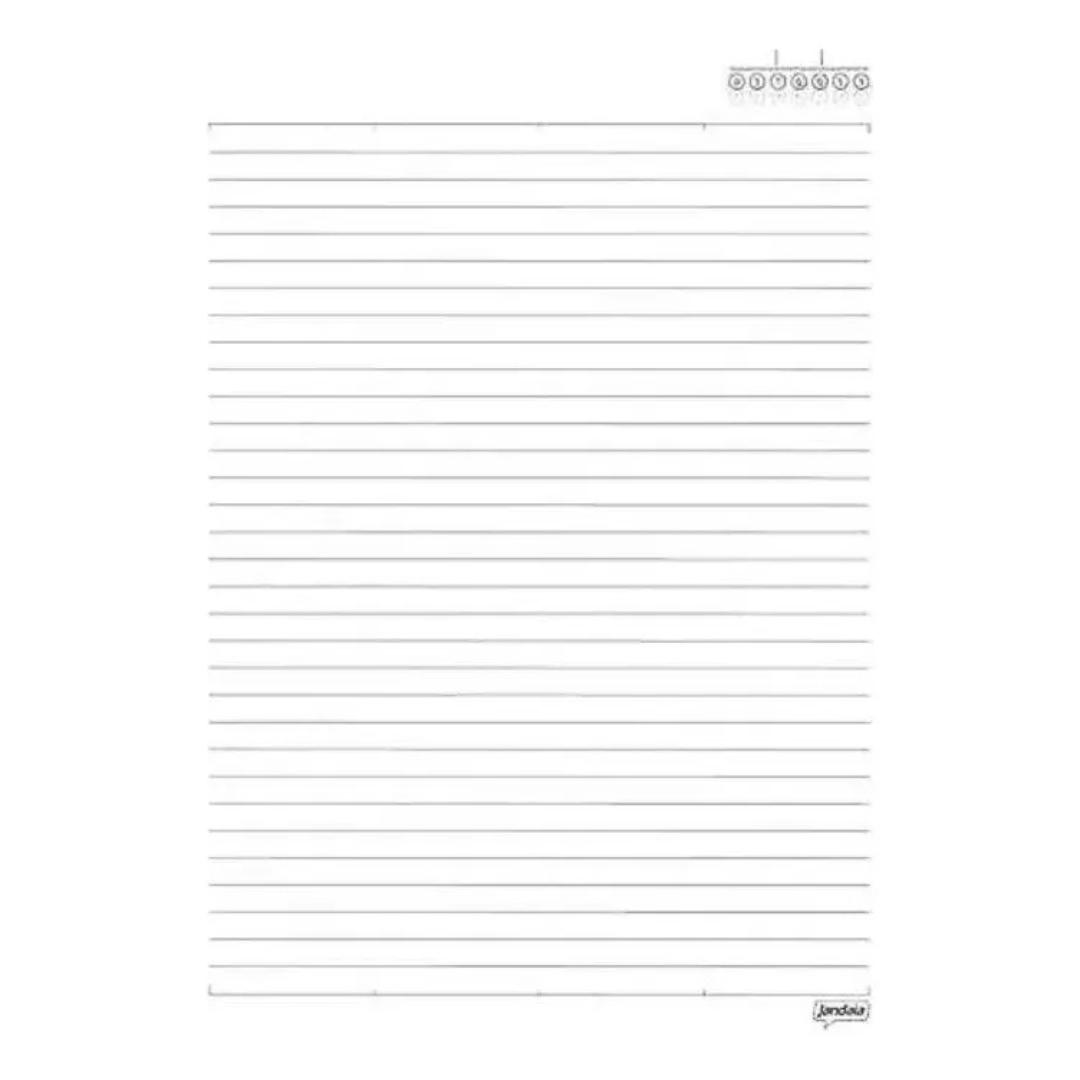 Caderno 10 Matérias Flow Discos de Vinil Jandaia