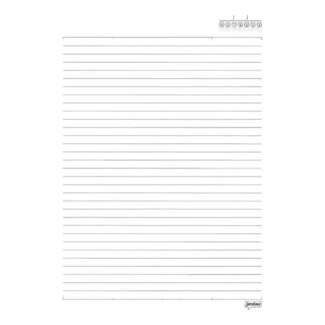 Caderno 10 Matérias Flow Discos de Vinil Jandaia
