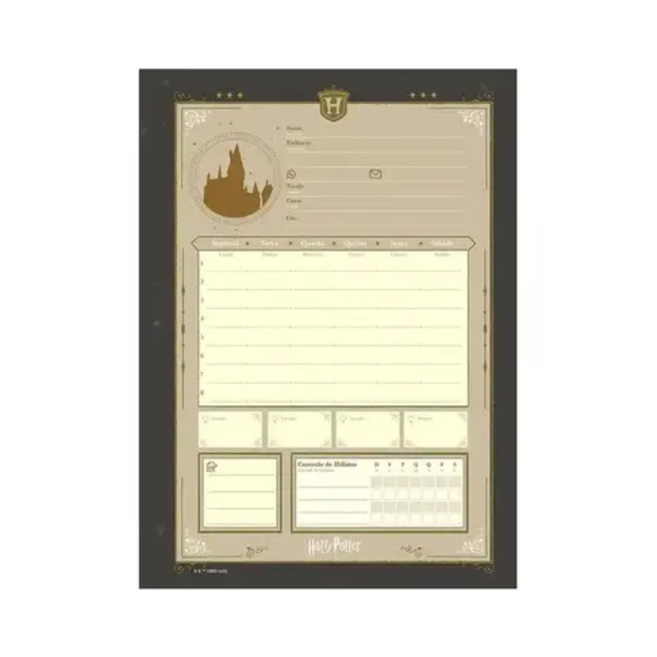 Caderno 1 Matéria 96 Folhas Harry Potter Jandaia