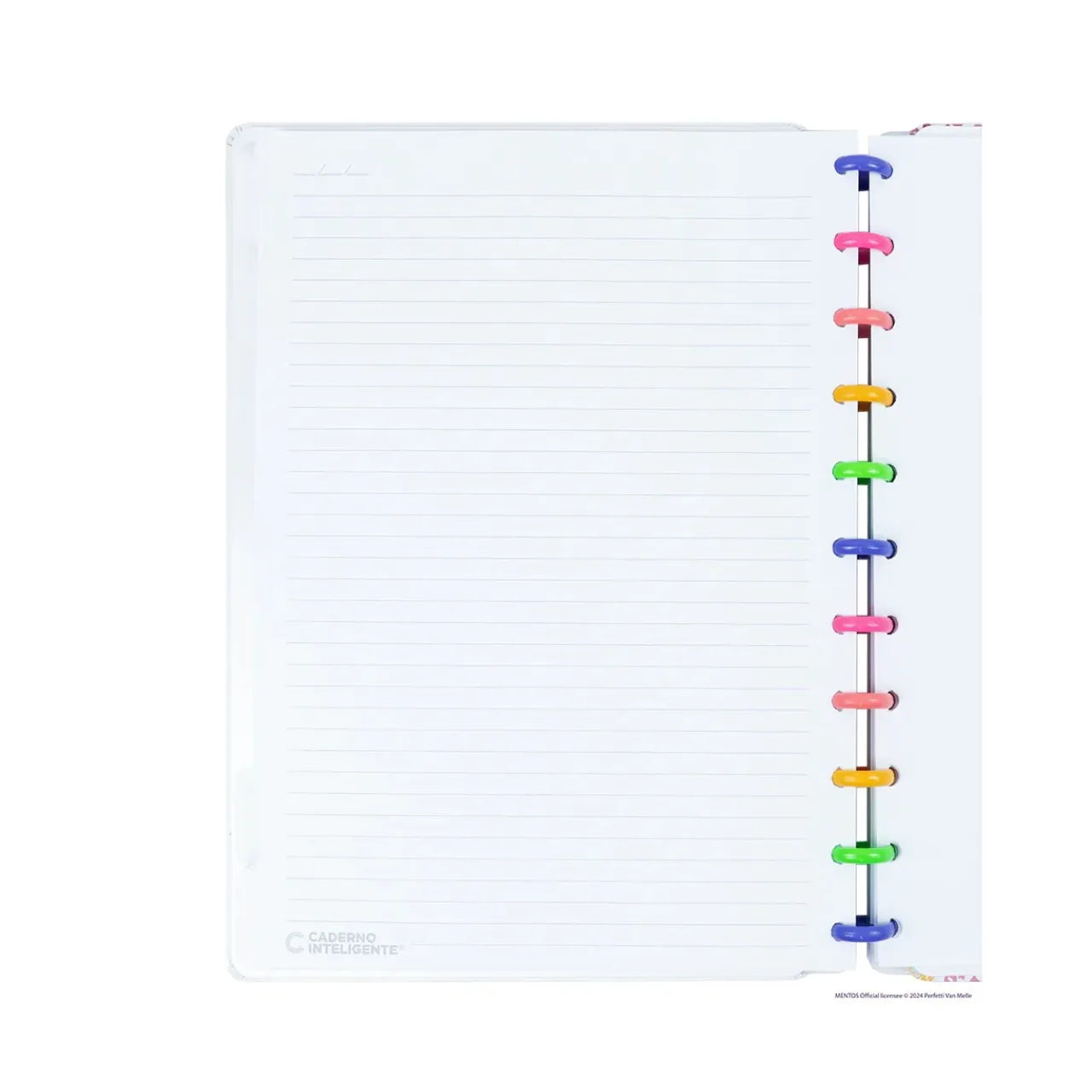 Caderno Inteligente Médio Mentos