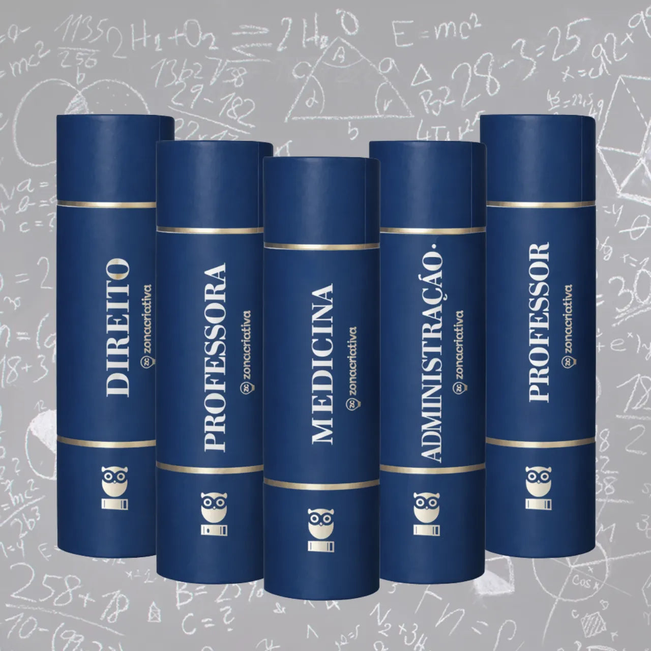 Garrafa Térmica Profissões 600ml Zona Criativa Professor