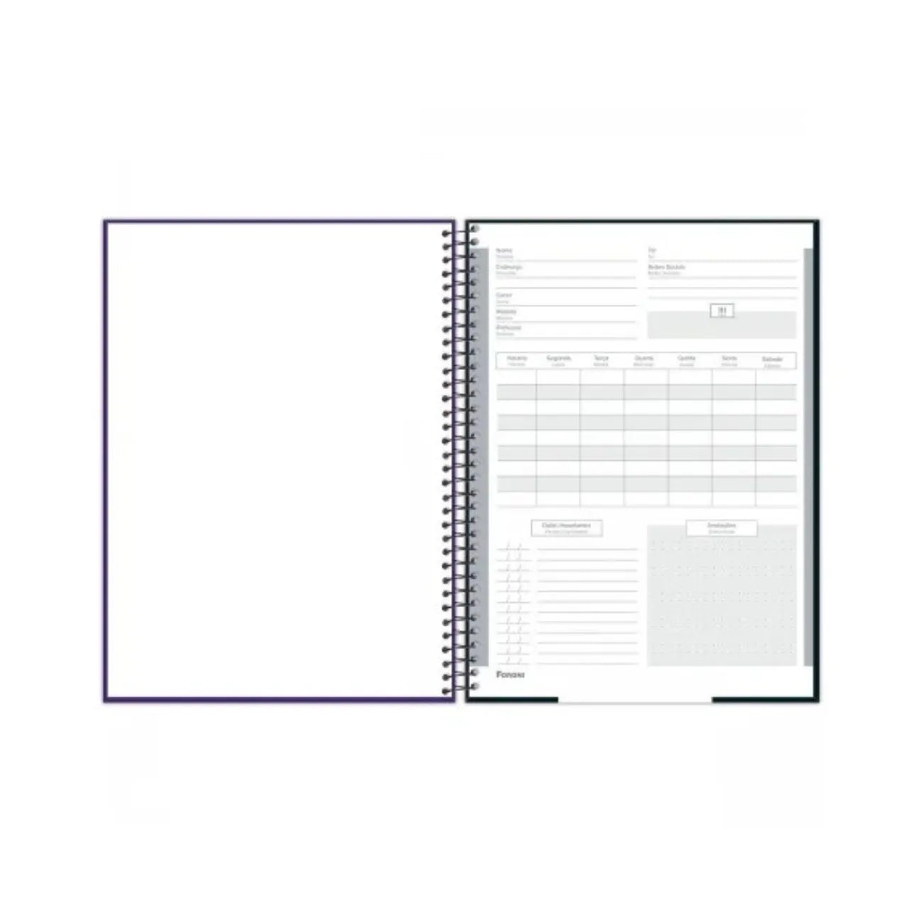 Caderno Universitário 20 Matérias Cliff Foroni