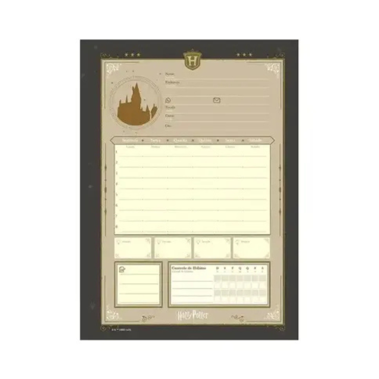 Caderno 1 Matéria 96 Folhas Harry Potter Jandaia