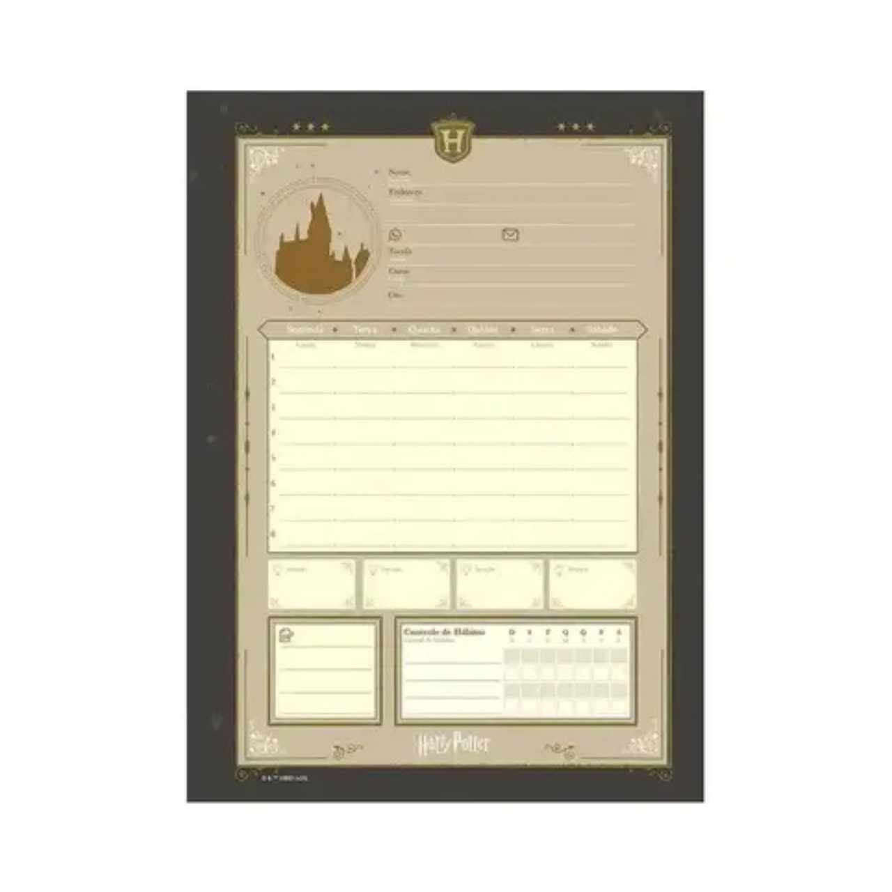 Caderno 1 Matéria 96 Folhas Harry Potter Jandaia