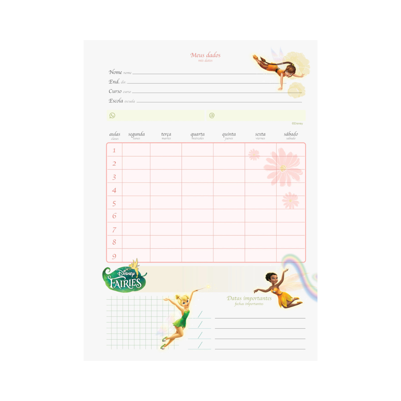 Caderno Fadas da Disney 80 Folhas Espiral Jandaia