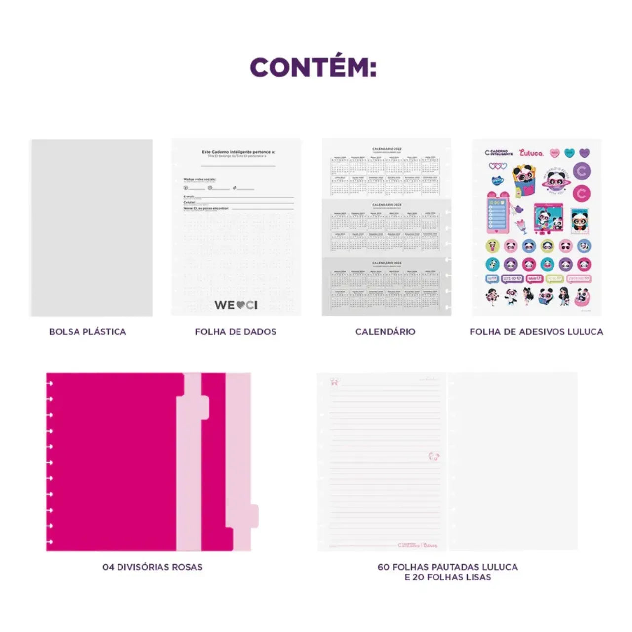 Caderno Inteligente Grande Pandalu Star Luluca CIGD4377